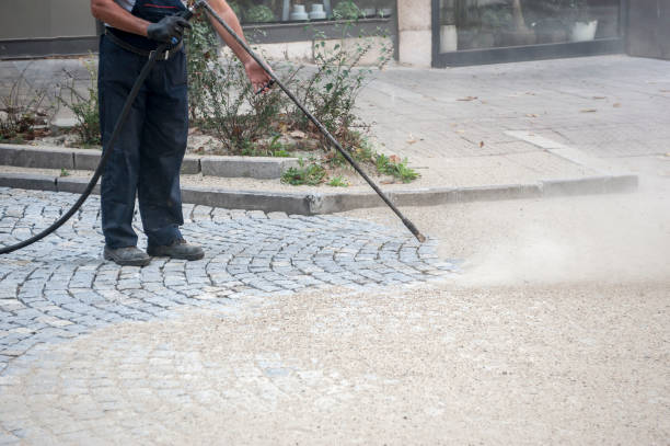 Best Boat and Dock Cleaning  in Madison, IL